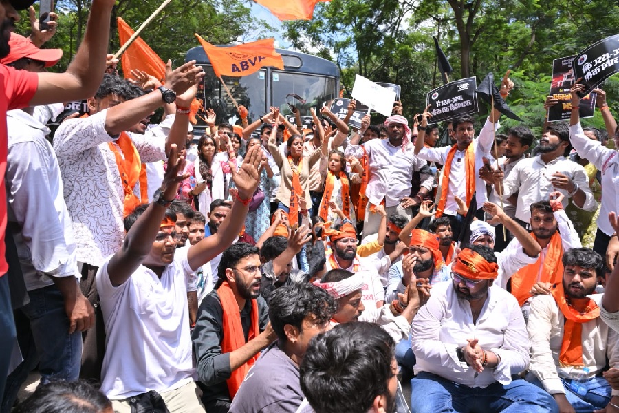 ABVP0011.jpg