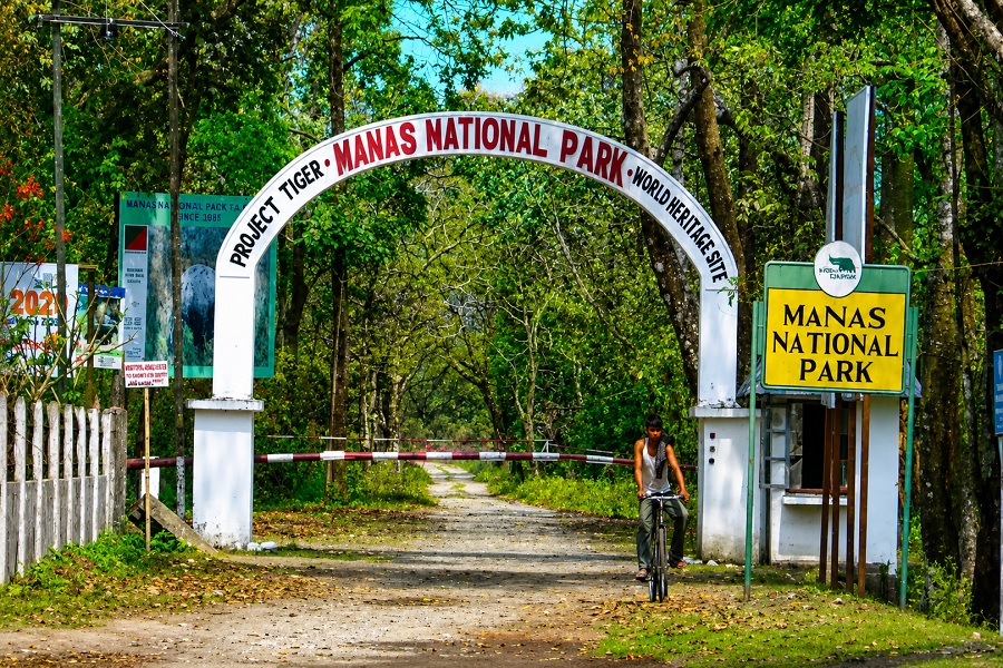 ASSAM007.jpg