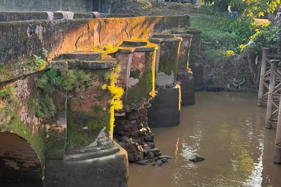 ASSAM24.jpg