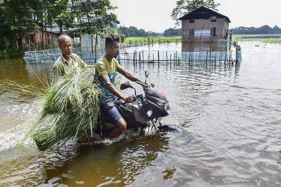 Assam_flood.jpg