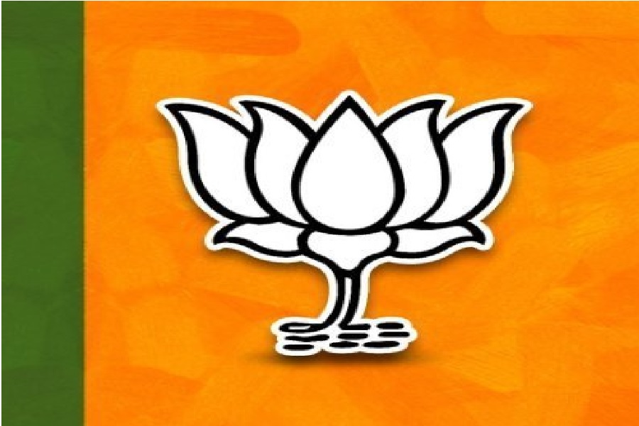 BJP110.jpg