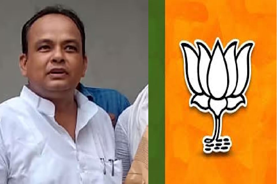 BJP241.jpg