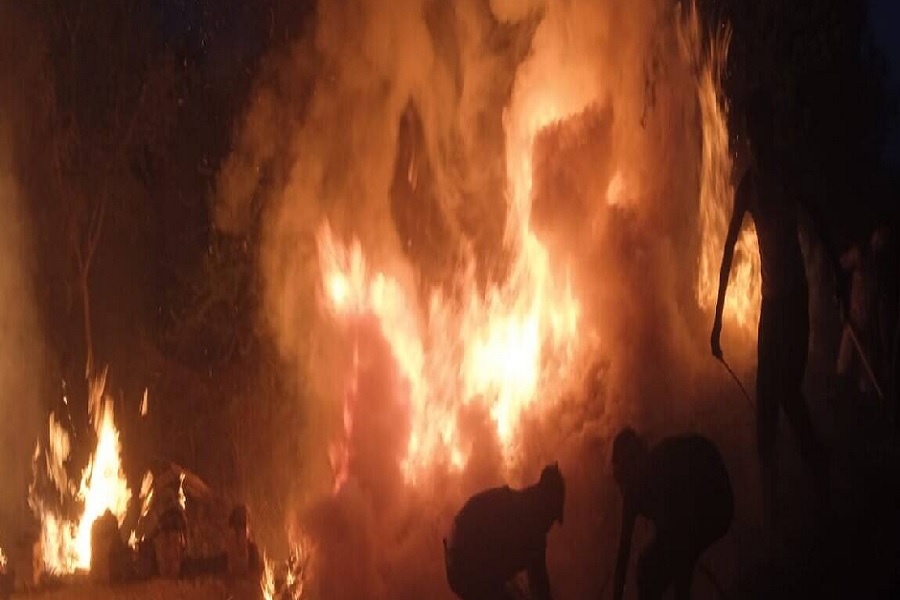 FIRE11.jpg