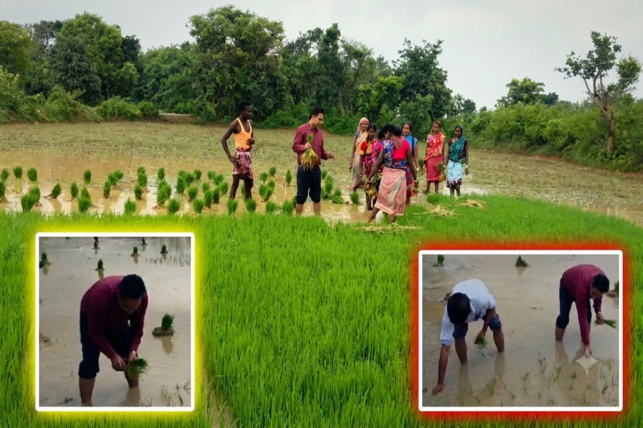 JAMTARA_FARMING_.jpg