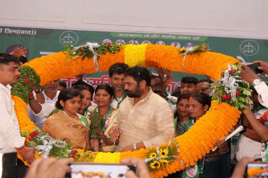 JMM00281.jpg