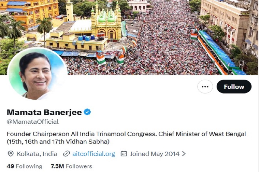 MAMATA011.jpg