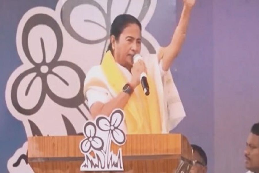 MAMTA06.jpg