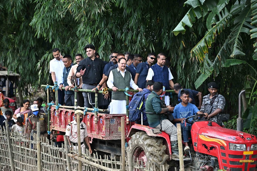 NADDA005.jpg