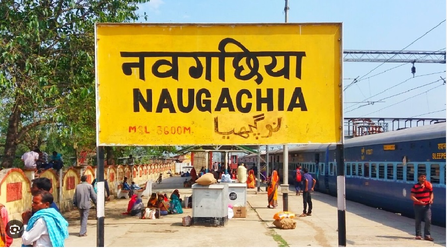 NAVGACHIA.jpg