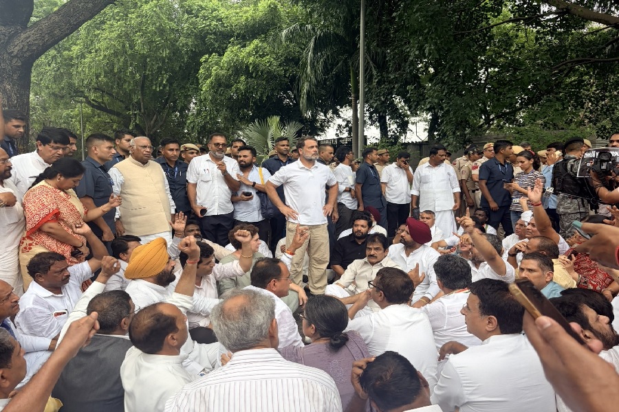 RAHUL212.jpg