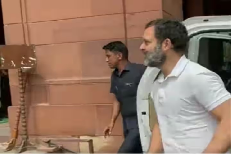 RAHULSONA.jpg