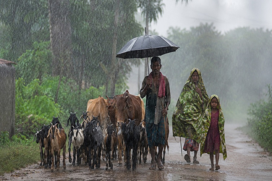 RAIN27.jpg