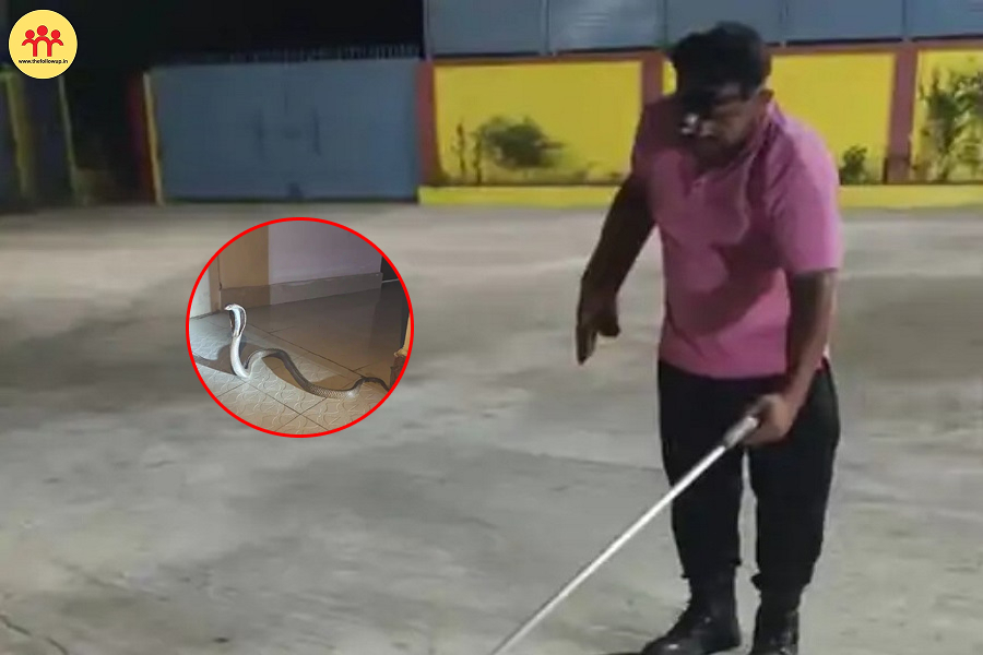 SDPO_HOUSE_RESCUE_SNAKE.jpg
