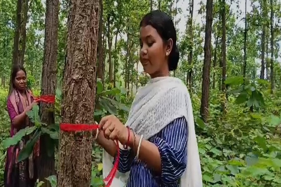 TREE_RAKHI.jpg