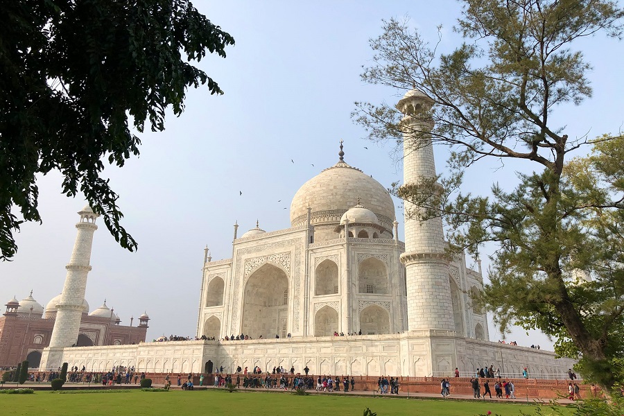 कोर्ट ने याचिकाकर्ता को लगाई फटकार, कहा- पहले जाकर रिसर्च करो