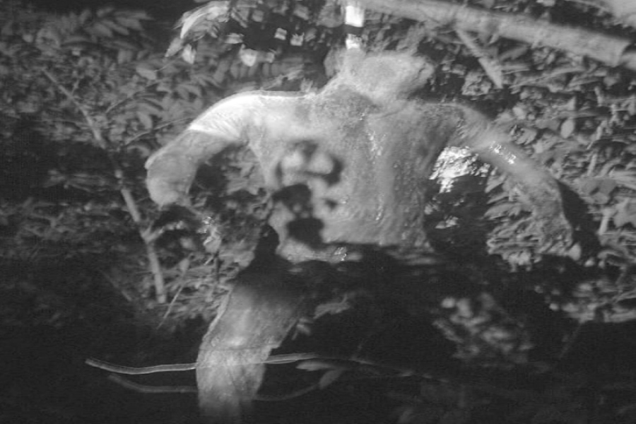 WhatsApp_Image_2026-08-09_at_10_27_58_PM.png