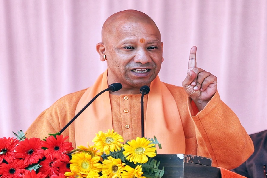 YOGI3.jpg