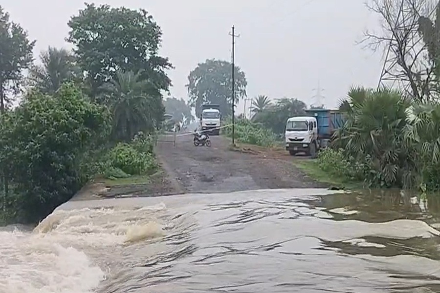 a2424.jpg