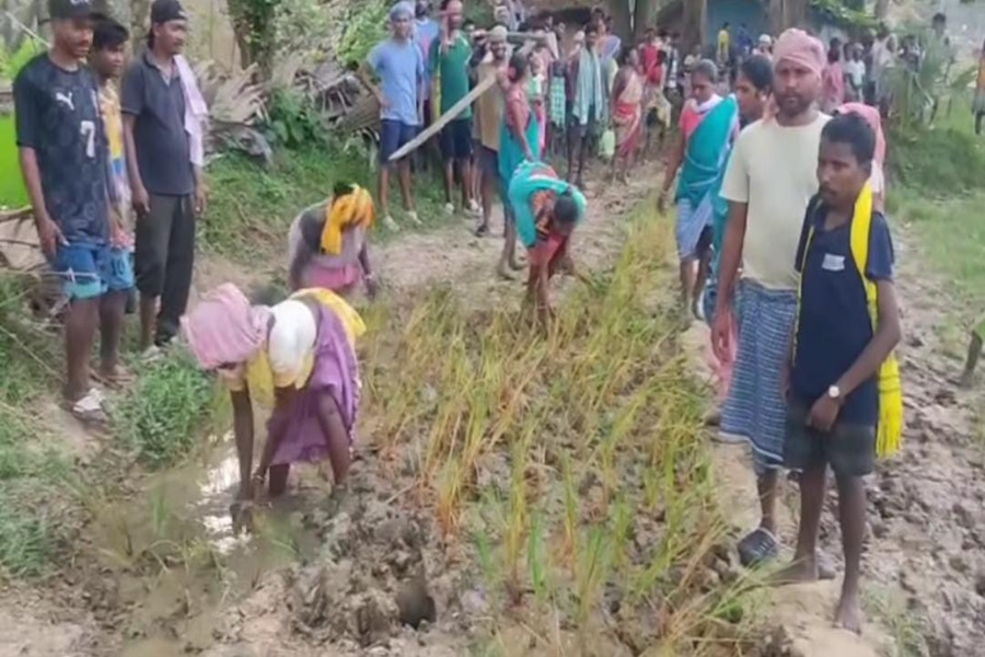 साहिबगंज के पुआल गांव में नहीं बन रही पक्की सड़क, ग्रामीणों ने धान रोपकर जताया विरोध