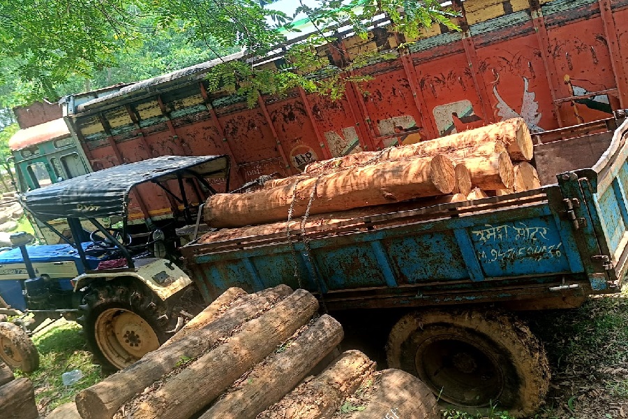 aandpur_wood_smuggling.jpg