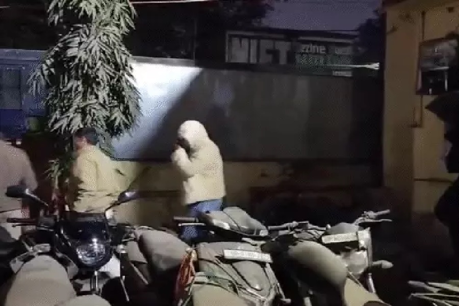 aap5.jpg