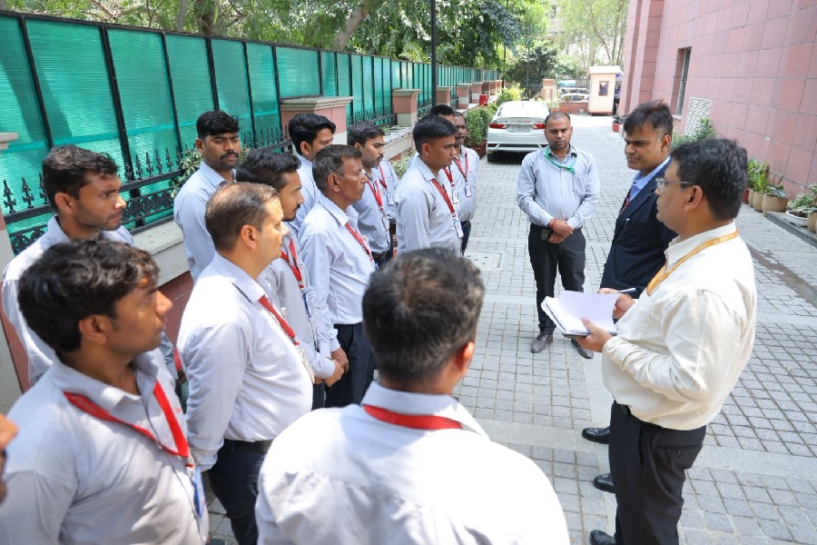 arva_raj_kamal.jpg