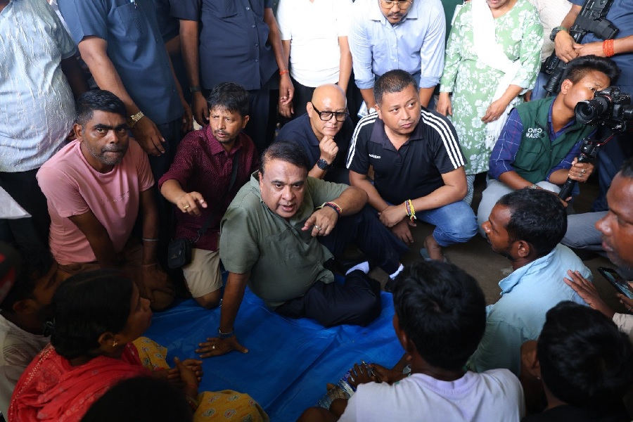 assam0022.jpg