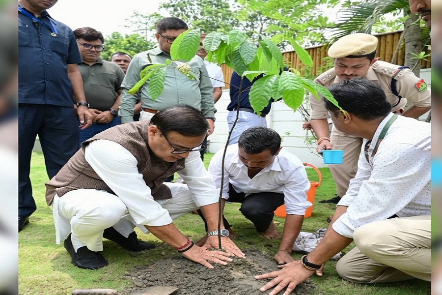 assam005.jpg