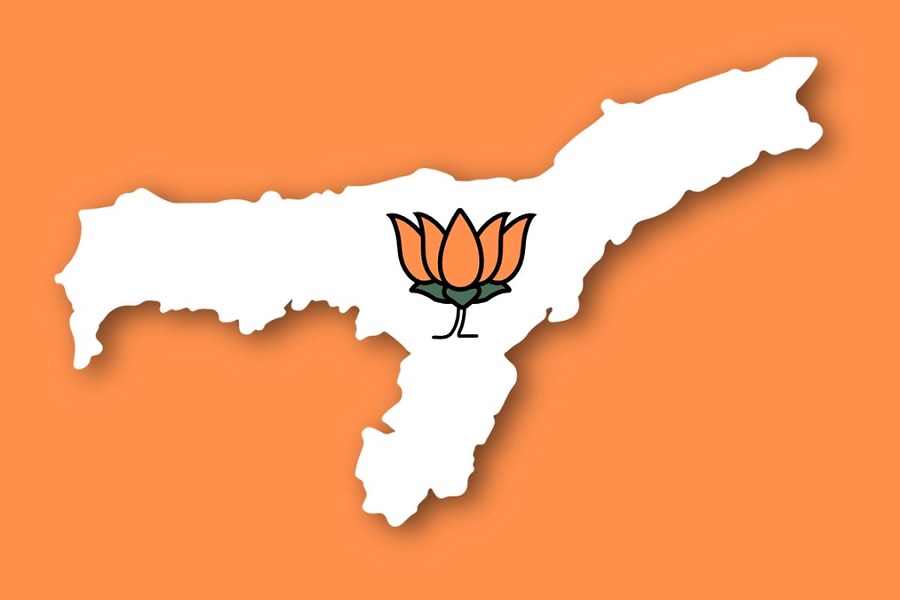assambjp.jpg