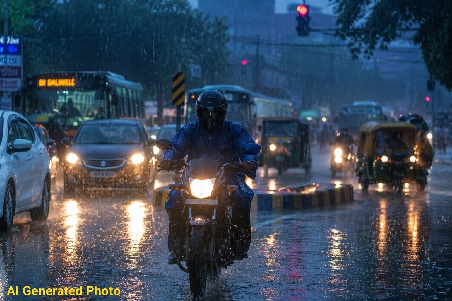 barish_1.jpg