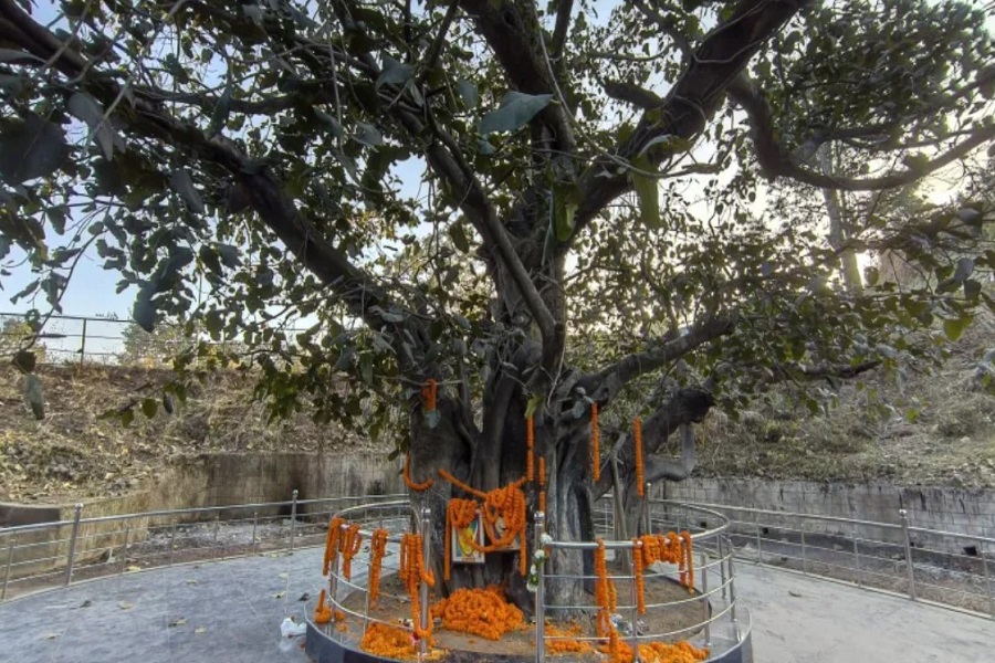 शेख भिखारी, अंग्रेजों से आखिरी दम तक लड़े, फांसी पर चढ़े, फिर भी इतिहास में नहीं मिली जगह