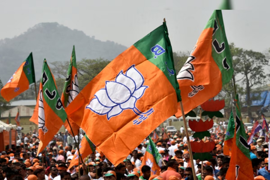 bjp_flag1.jpg