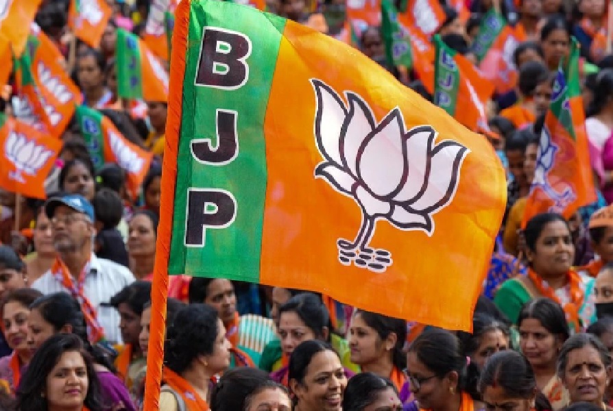 bjp_flag4.jpg