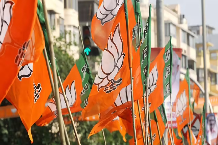 bjp_flag6.jpg