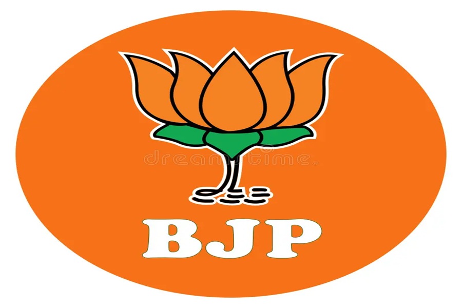 bjp_logo3.jpg
