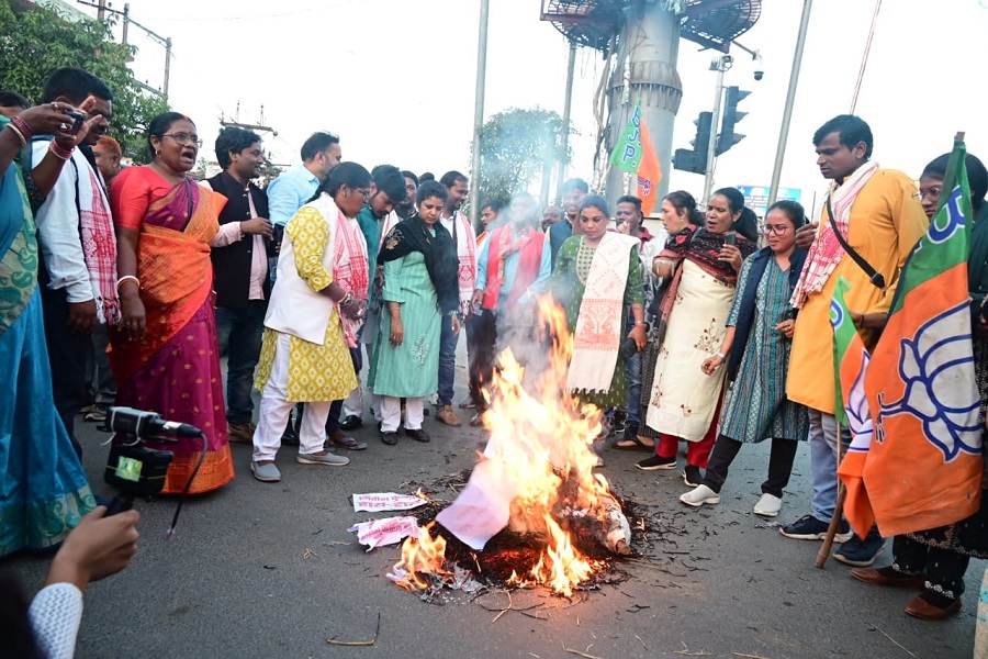 bjp_mahila.jpeg