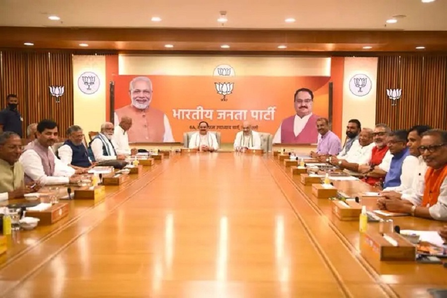 bjp_manthan.jpg