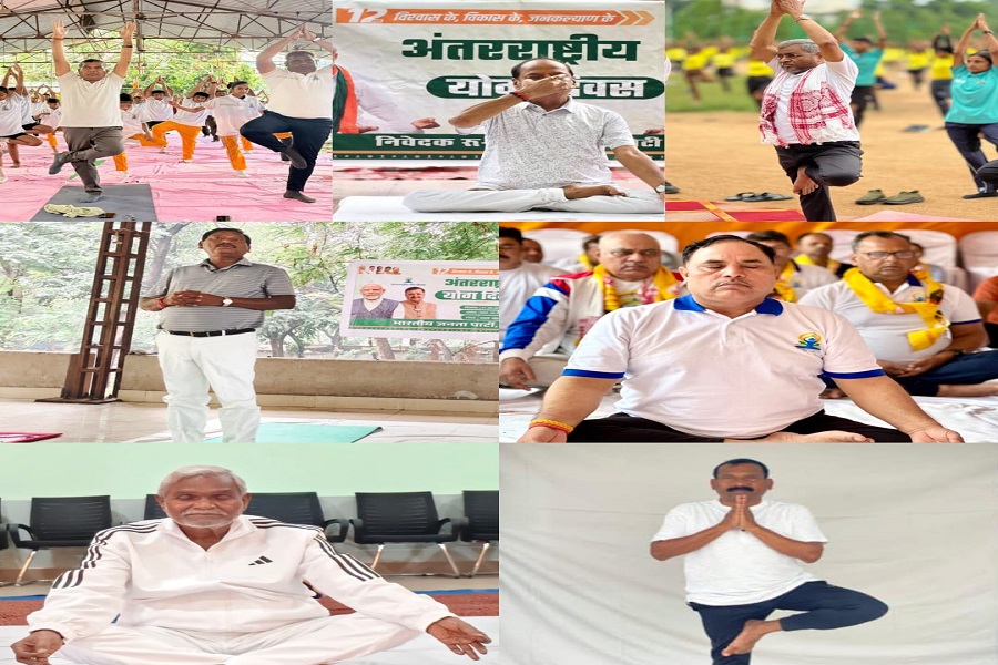 bjp_yoga.jpg
