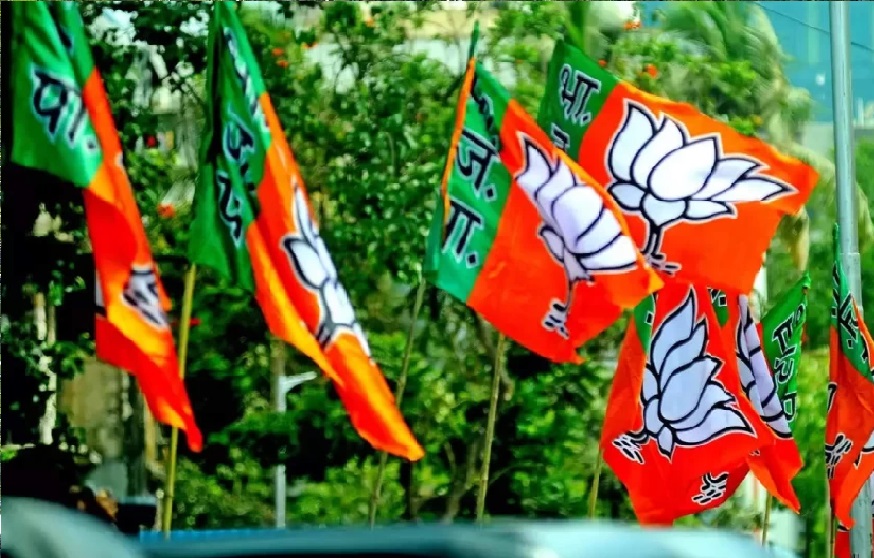 bjpflag1.jpg