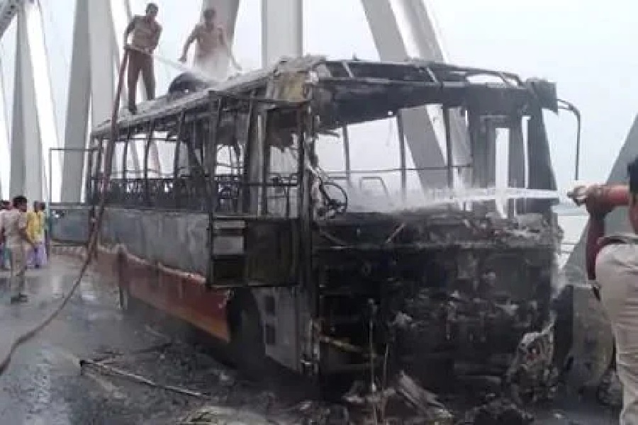 bus1.jpg