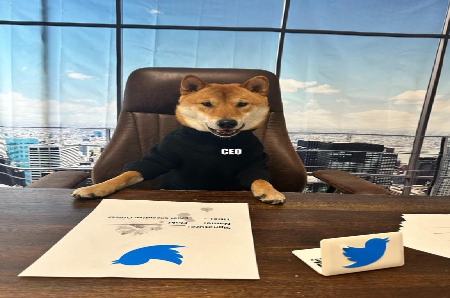 ceo_folki.jpg