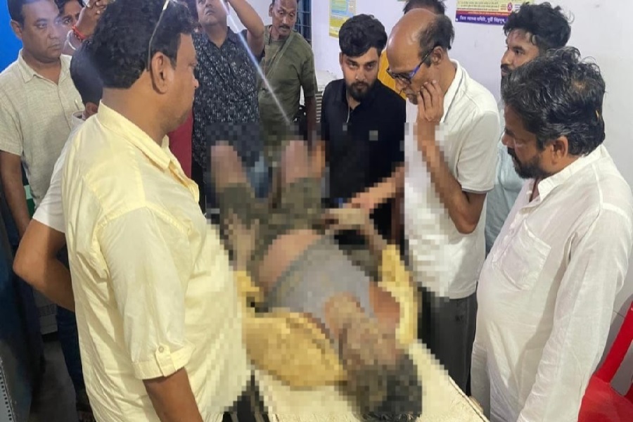 chakuliya_elepahnt_attack.jpg