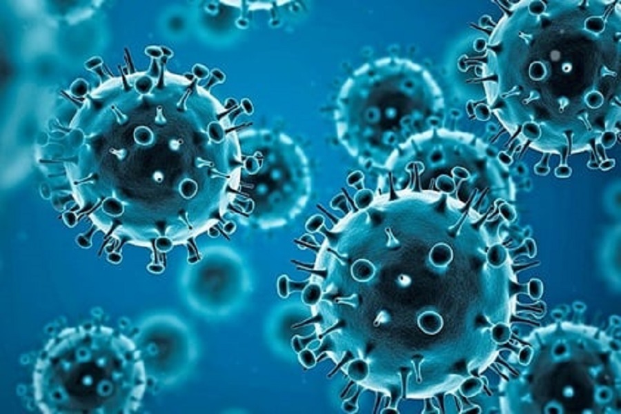 coronavirus.jpg