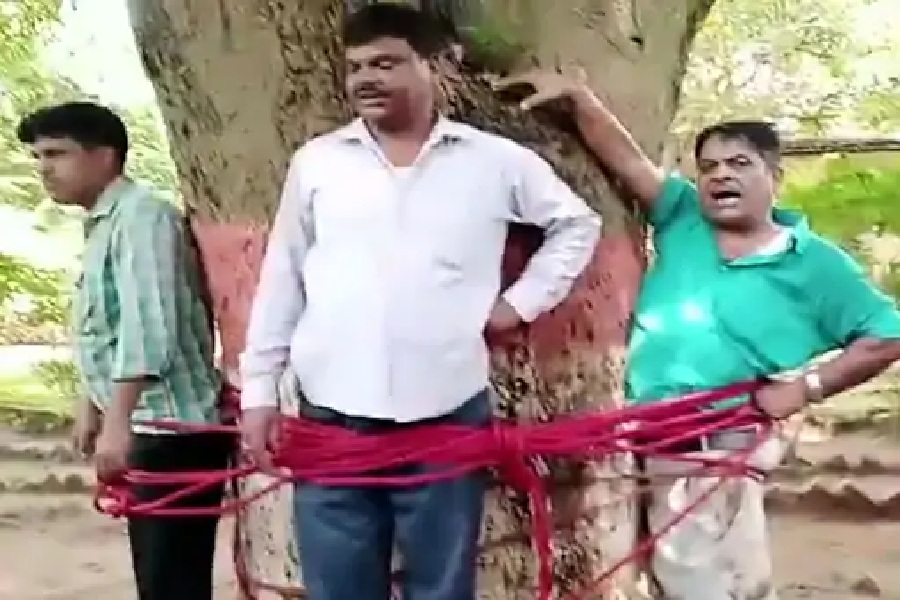 ...