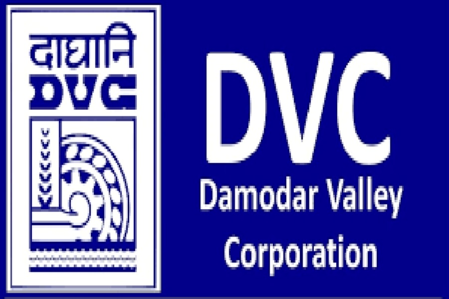 dvc0010.jpg