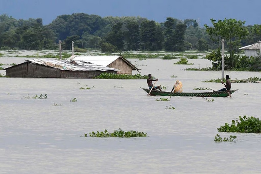 flood00.jpg