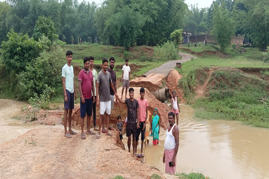 gandey2.jpg