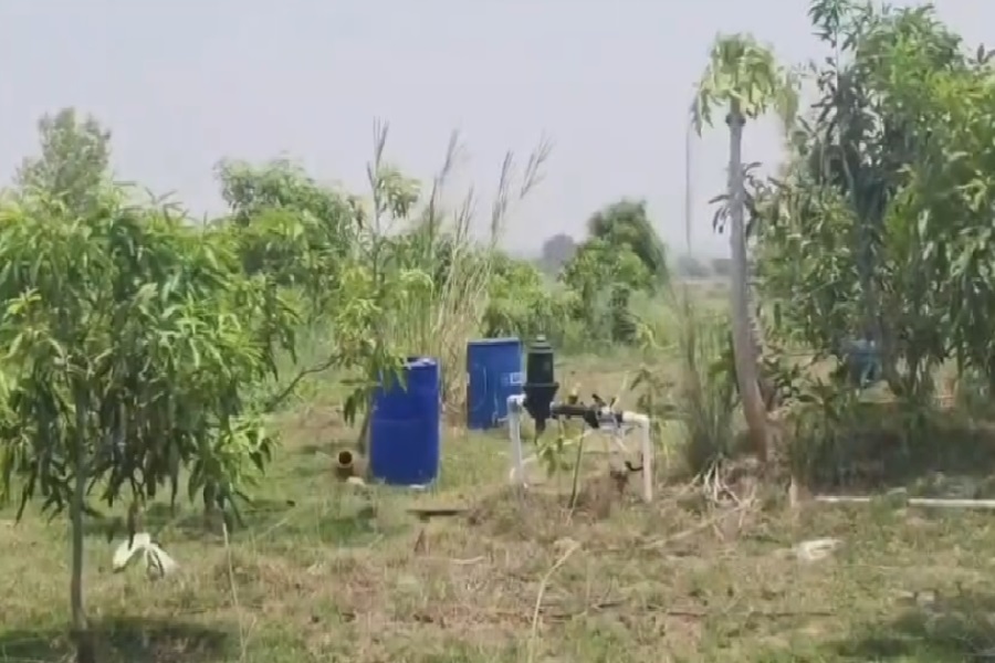garwah_aam_baagwani.jpg