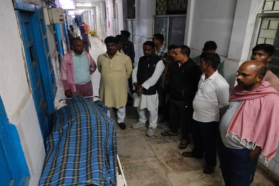 गिरिडीह में मधुमक्खियों के हमले से 61 वर्षीय किसान की मौत