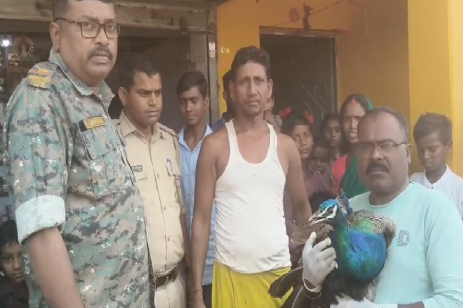 giridih_van_vibhag_news.jpg